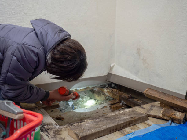 Best Mold Remediation for Rental Properties  in Aragon, GA