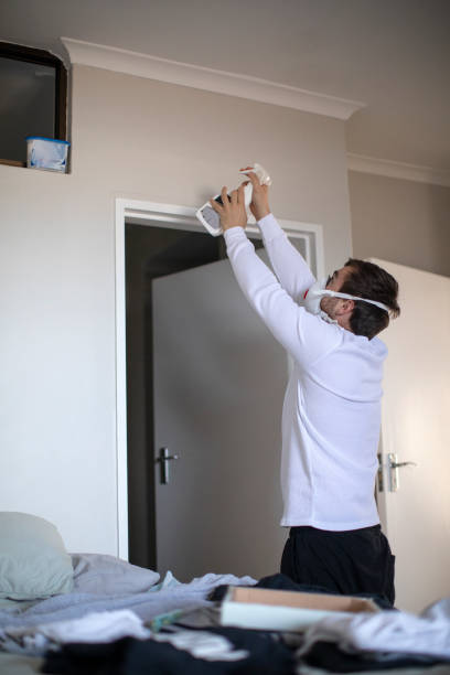 Best Attic Mold Removal  in Aragon, GA