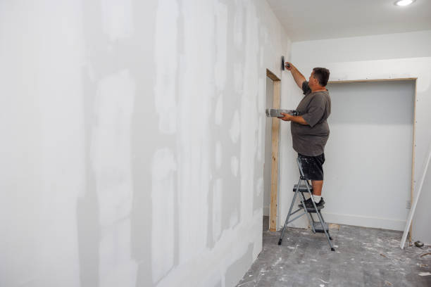 Best Black Mold Removal  in Aragon, GA