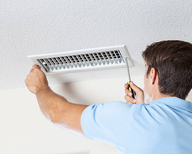 Best Basement Mold Removal  in Aragon, GA