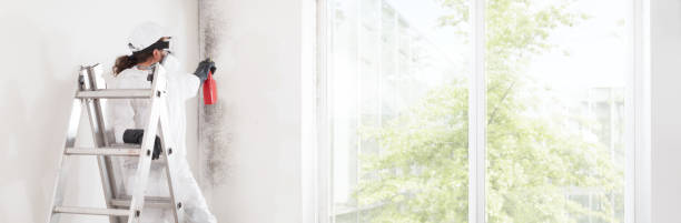 Best Mold Odor Removal Services  in Aragon, GA